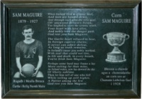 Sam Maguire Wall